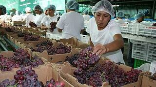 Exportaciones de uva a China sumarían 8 millones de cajas esta temporada