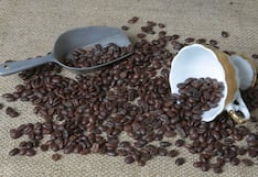 Subasta del mejor café de Nicaragua logró precio récord de US$ 80.1 la libra