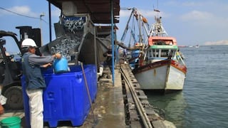 Produce decomisó 22 toneladas de anchoveta a embarcaciones pesqueras