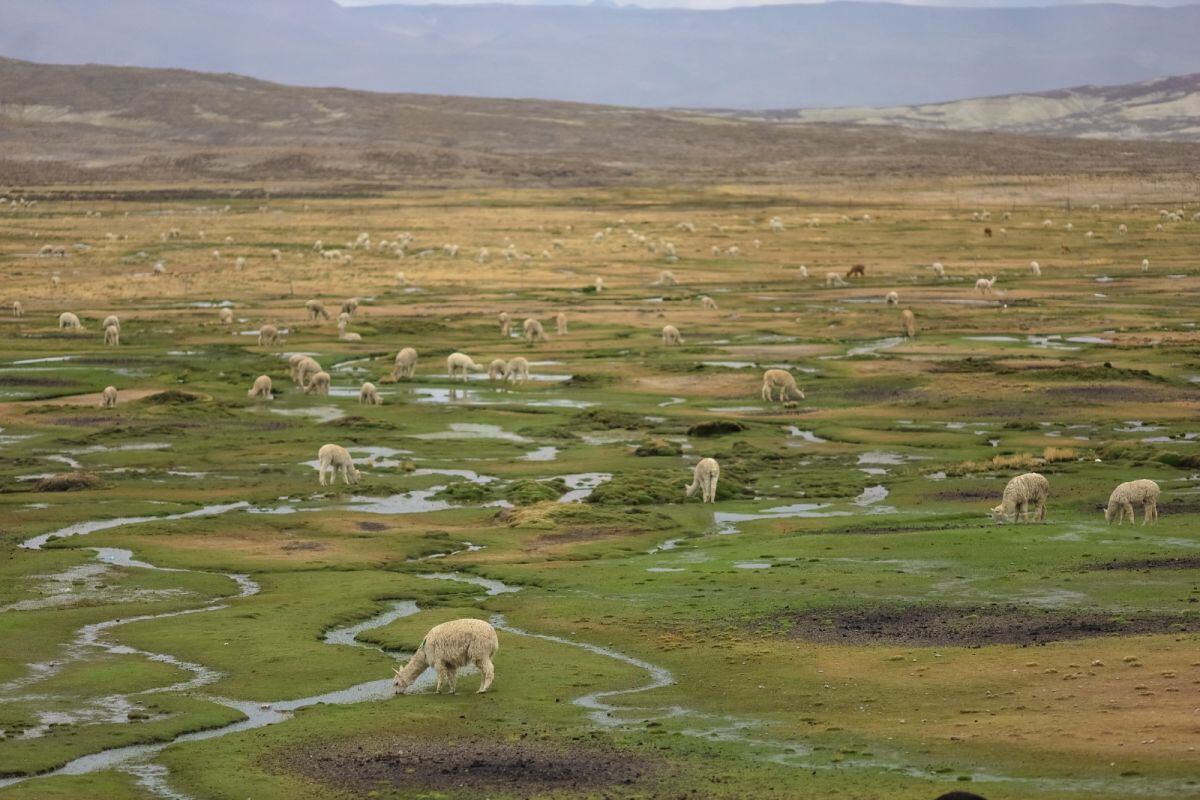 Fuente natural de agua en Arequipa.
