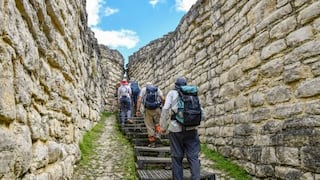Expertia Travel fortalece activos tecnológicos en un mercado turístico todavía débil