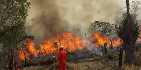 Regiones como Beni, Santa Cruz, La Paz y Cochabamba fueron afectadas con los desastres. Foto: El Mundo
