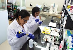 Concytec destinará más de S/ 52 millones para financiar concursos de ciencia: los detalles