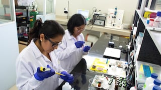 Concytec destinará más de S/ 52 millones para financiar concursos de ciencia: los detalles