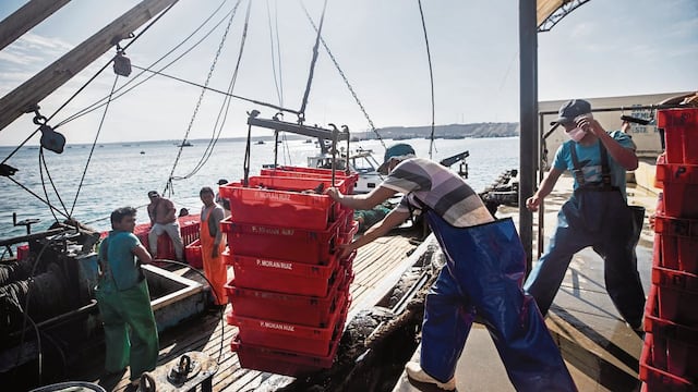 Sector pesca, los riesgos para su recuperación y nuevas medidas para la modalidad presencial
