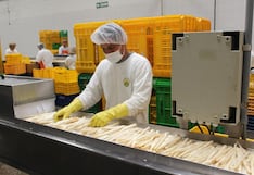 Empleos asociados a las exportaciones crecieron 16.1% hasta noviembre