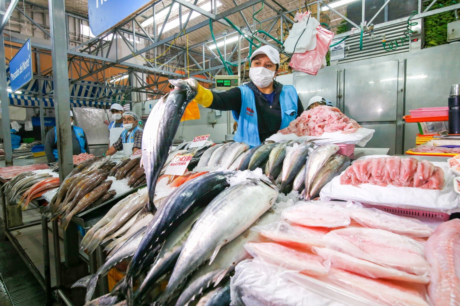 Consumo de pescado. (Foto: Difusión)