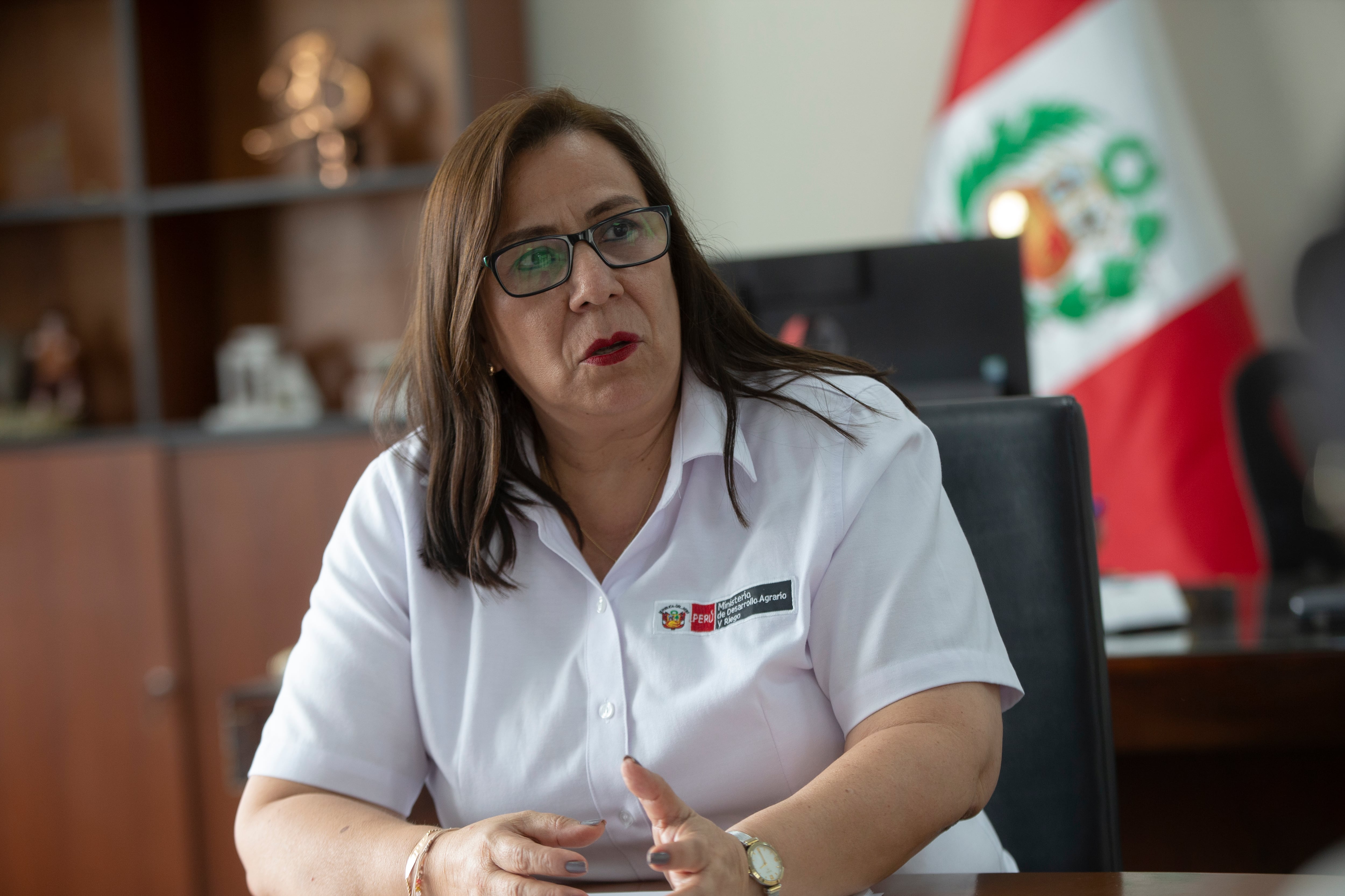 Nelly Paredes del Castillo fue designada como jefa del Gabinete Técnico de la Presidencia de la República. (Foto: GEC)