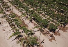 Los sistemas de ahorro de consumo de agua en la agricultura