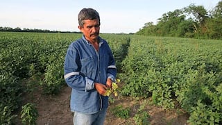 La sequía y las deudas ahogan a los agricultores bolivianos