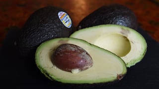 Producción de paltas Hass creció solo 2%, no se cumplieron expectativas