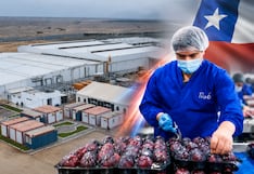 El siguiente paso de un gigante chileno en Perú: esta agroexportadora prepara su ingreso