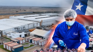 El siguiente paso de un gigante chileno en Perú: esta agroexportadora prepara su ingreso
