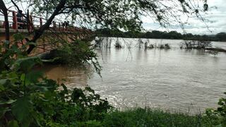 Río Tumbes nuevamente se desborda y afecta varias áreas de cultivos