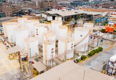 Renasa apunta a ganar más presencia en el exterior para mantener niveles de ventas