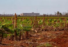 Cuba abre el acceso a tierras agrícolas con nuevas reformas económicas