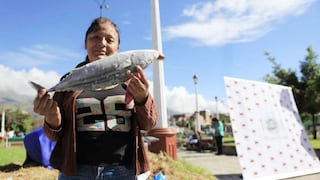 Consumo de pescado superará los 27 kilos anuales por persona al 2025 en Perú, líder de la región