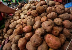 Sector agropecuario crece 4% en enero impulsado por mayor producción agrícola