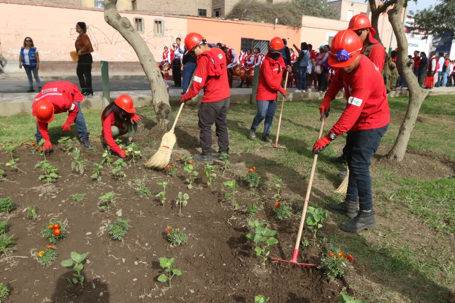 Hasta el momento el programa ya viene generando 107,000 empleos temporales hasta la fecha. (Foto: Agencia Andina)