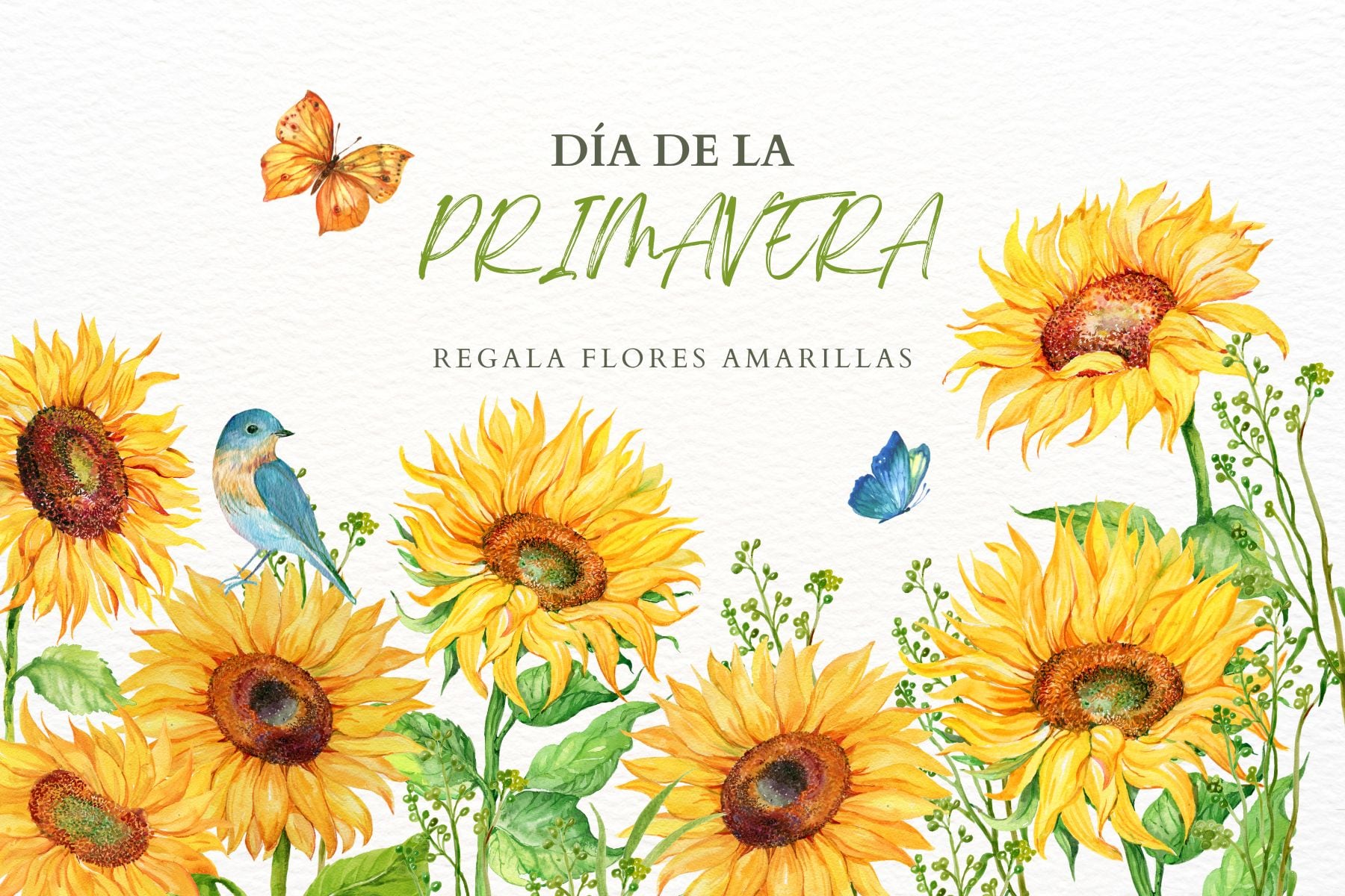 Este sábado 21 de marzo inicia la primavera en México y Estados Unidos, una fecha donde muchas personas regalarán flores amarillas a sus parejas (Foto: Canva.com)