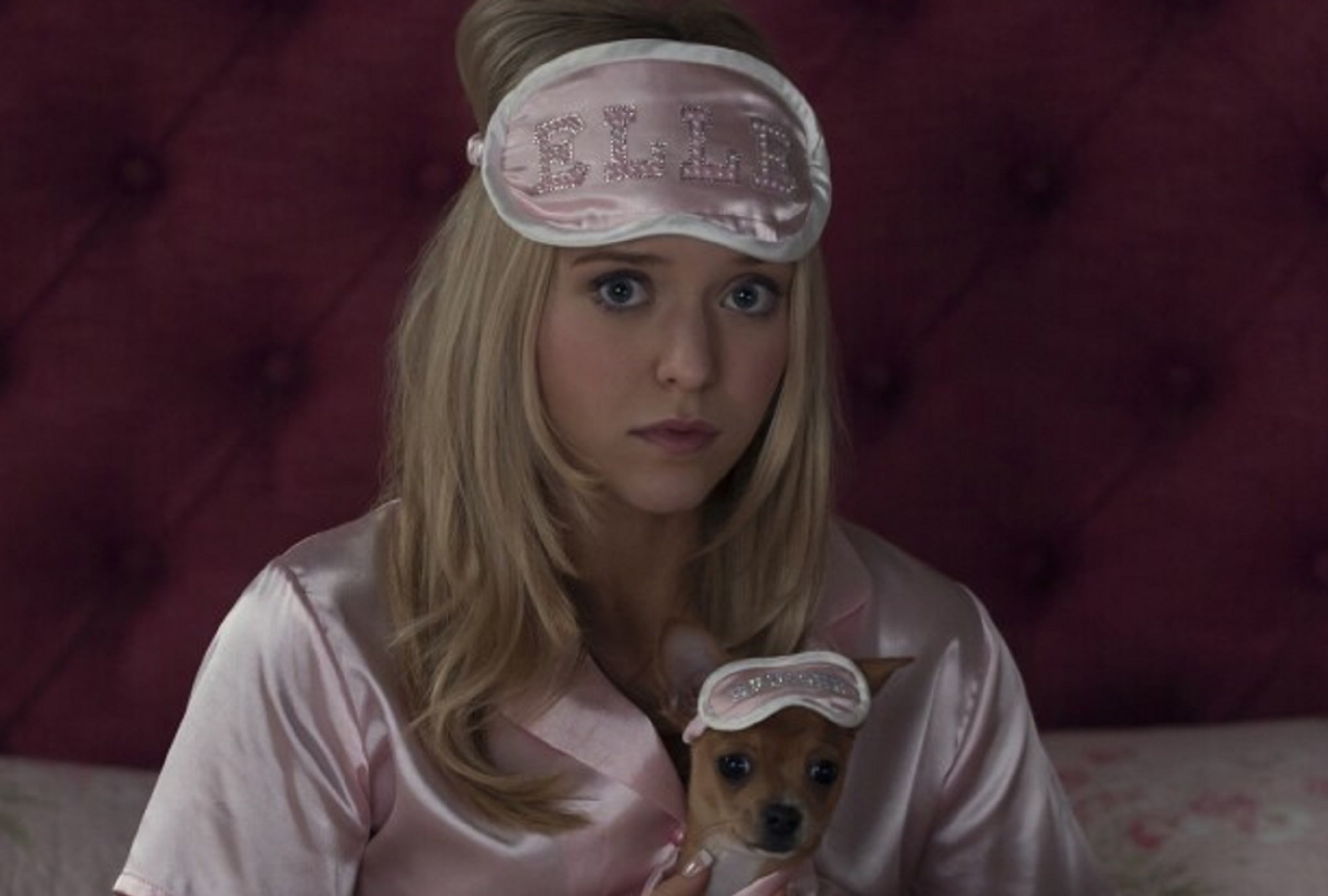 "Elle", la serie precuela de "Legalmente rubia", logra explorar los orígenes de las motivaciones de Elle Woods (Lexi Minetree) antes de llegar a Harvard (Foto: Amazon Prime Video)