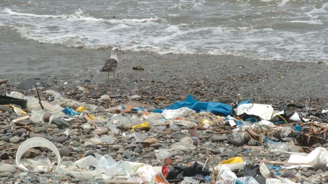 Iniciativa peruano-ruandesa se presenta para pacto mundial contra la contaminación del plástico