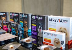 Fabricante Agrovet Market acelera en Lurín y prepara su expansión en mascotas