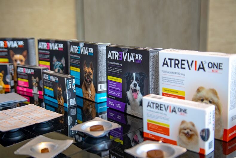 El mercado veterinario peruano crece a un ritmo de 5% a 6% anual, apoyado casi enteramente en mascotas, que avanza entre 10% y 15%. (Foto: Archivo/GEC)