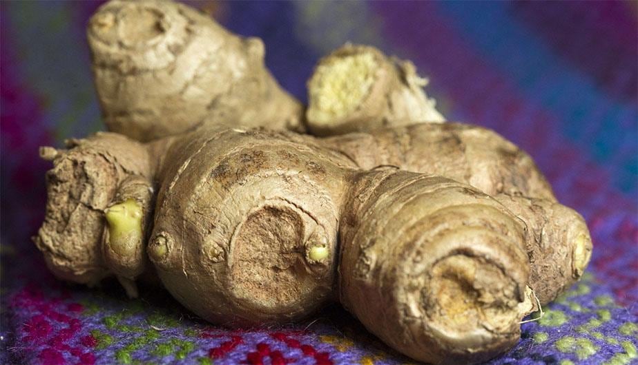 Alrededor del 95% del jengibre producido en Perú corresponde a cultivo orgánico, una de las características que diferencia al producto en el mercado internacional. (Foto: Andina).