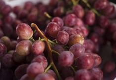 Primeras variedades de uvas peruanas a Japón llegarán en agosto