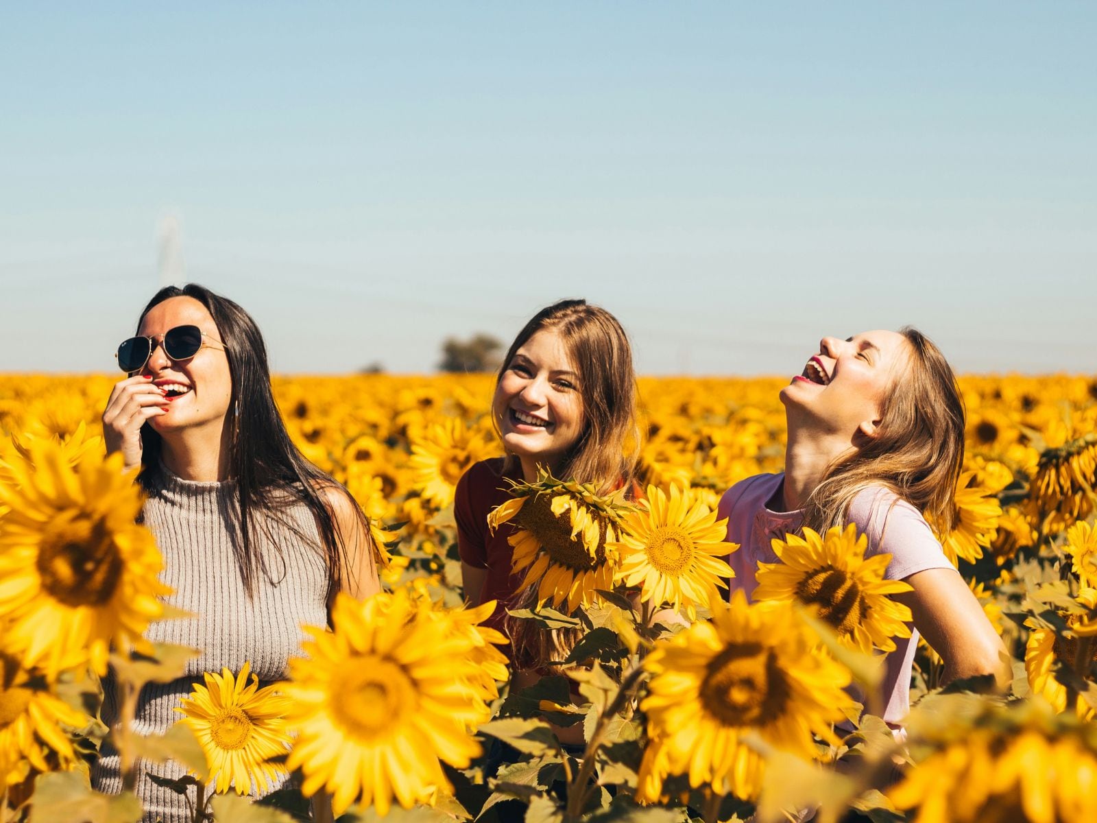 Celebra la llegada de la primavera en México con un ramo de sol. Descubre las mejores flores amarillas para regalar este 21 de marzo como girasoles, narcisos, lirios, tulipanes, fresias y muchas más. | Foto de Antonino Visalli en Unsplash / Composición Mix
