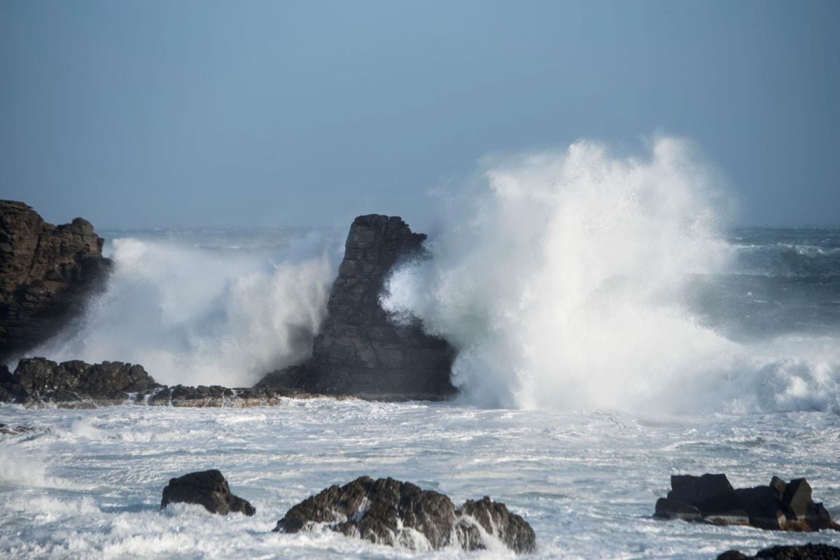 La delegación brasileña, según DSCC, abogó por dar más tiempo a la ciencia para conocer mejor la biodiversidad y estudiar los impactos ambientales en aguas profundas de una actividad que podría resultar muy dañina e irreversible. (Foto: EFE)