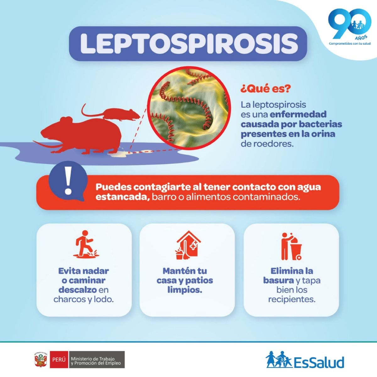 Leptospirosis. Foto: EsSalud.