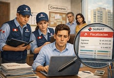 Condominios: ¿cómo afrontar una fiscalización de la Sunat a los ingresos del tesorero?