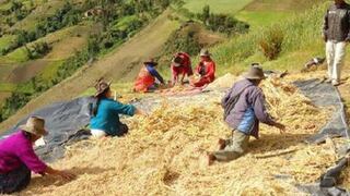 Perucámaras: Exportaciones agropecuarias y textiles crecen más del 20% en Macro Región Sur