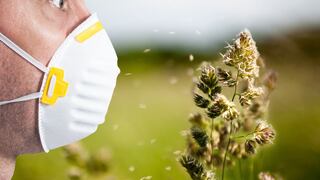 El polen aumenta el riesgo para contraer el COVID-19, según estudio alemán