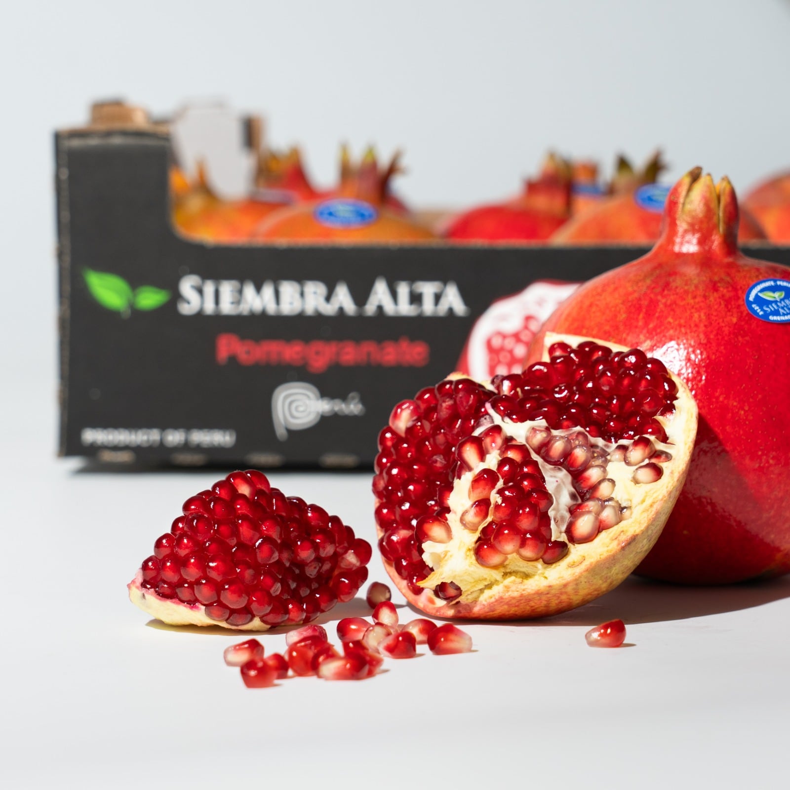 La empresa acopiadora y exportadora en sus inicios comenzó exportando frutas desde Chincha.