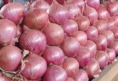 Cebollas peruanas sacan ventaja en Europa por barreras para envíos de Egipto