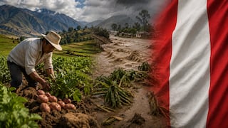 El Niño cambia de “golpe” según la región: el mapa de riesgos para el agro peruano