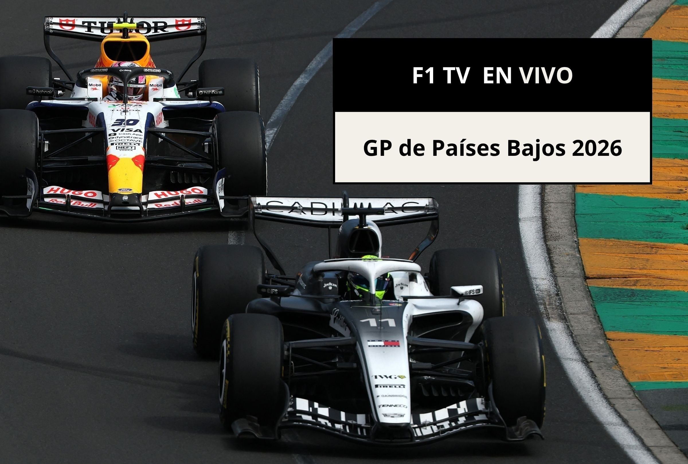 Revisa esta nota para que sepas cómo ver EN VIVO la carrera del GP de Países Bajos 2026 por F1 TV. (Foto: Martin KEEP / AFP y Composición Canva - Gestión Mix)