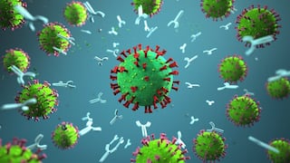 Los anticuerpos contra SARS-CoV-2 persisten dos años tras sufrir la enfermedad