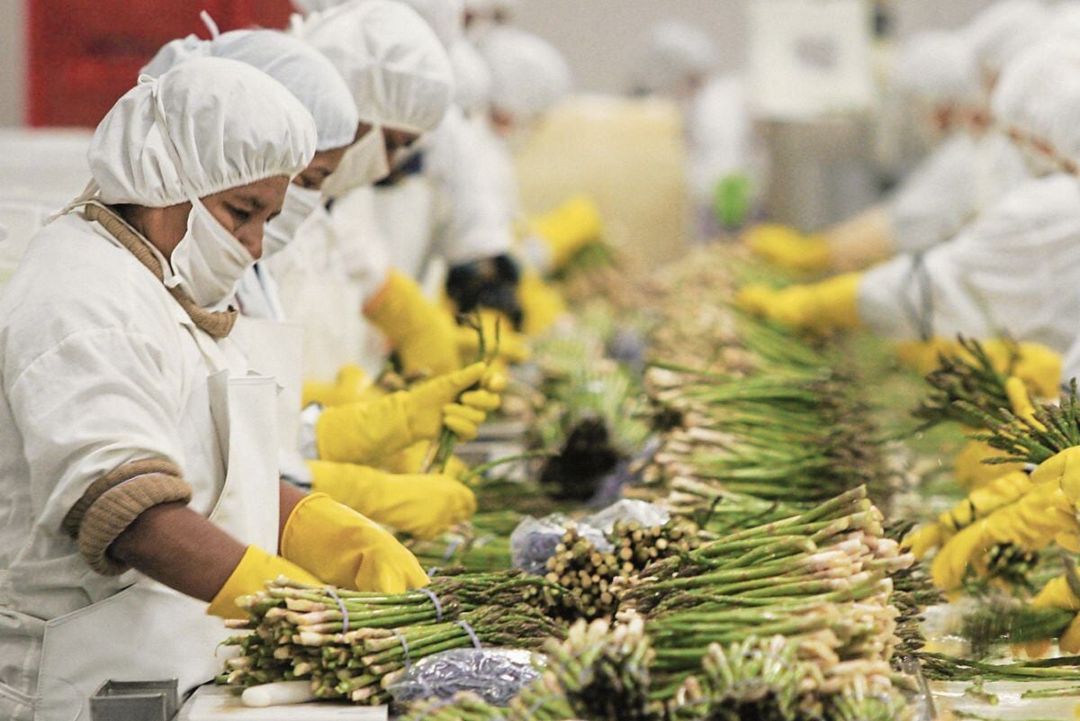 FRG Farms destinará cerca de S/ 850,000 para nueva planta de empaque de alimentos en Áncash
