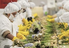 FRG Farms destinará cerca de S/ 850,000 para nueva planta de empaque de alimentos en Áncash