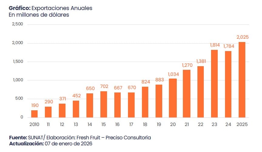 Evolución de la exportación de uva peruana en los últimos años. Fuente: Fresh Fruit