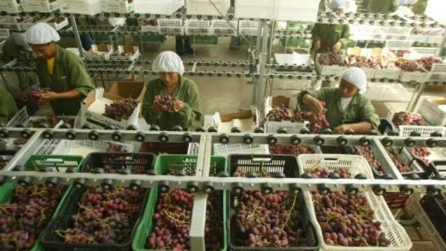 AIB ingresará a China y Rusia con uva y espárrago este año