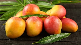 Mango sigue en crisis: en “jaque” nueva campaña agrícola, pero habría plan para paliar impacto