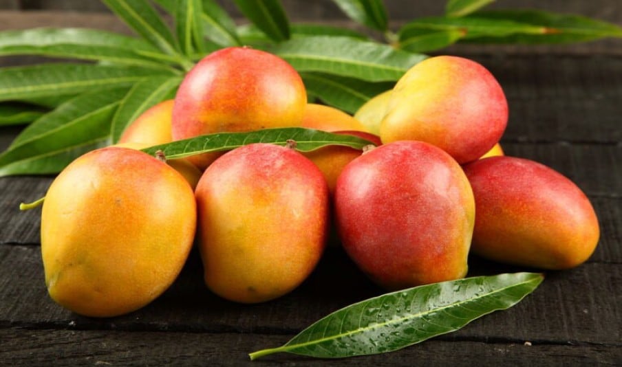 El Midagri avizora una recuperación del precio del mango en chacra en la nueva campaña. Foto: Midagri