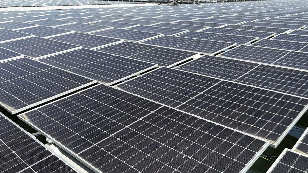 Una agencia para la transición energética: ¿cómo funcionaría?