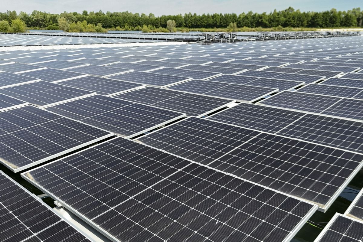 Paneles solares. (Foto de Pierre BEAUVILLAIN / AFP)