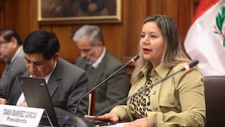 Pleno amplía vigencia de Comisión Especial ProInversión hasta agosto de 2025